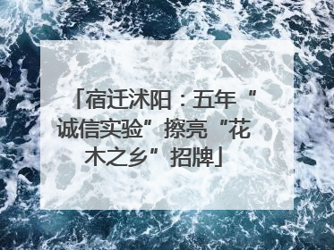 宿迁沭阳：五年“诚信实验”擦亮“花木之乡”招牌