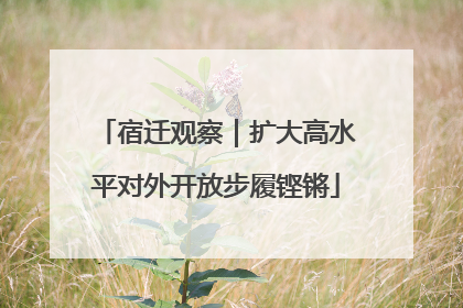 宿迁观察｜扩大高水平对外开放步履铿锵
