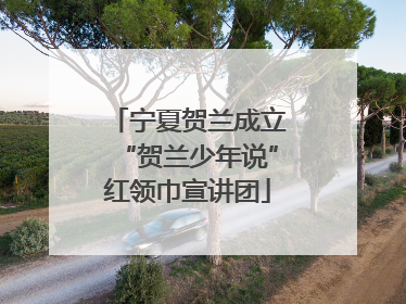 宁夏贺兰成立“贺兰少年说”红领巾宣讲团