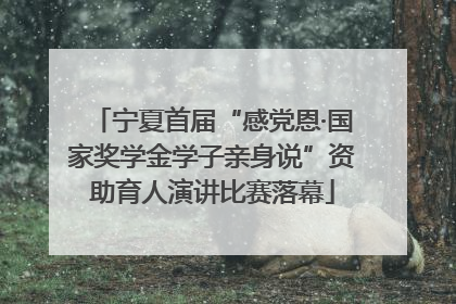 宁夏首届“感党恩·国家奖学金学子亲身说”资助育人演讲比赛落幕