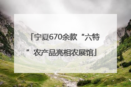 宁夏670余款“六特”农产品亮相农展馆