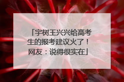 宇树王兴兴给高考生的报考建议火了！网友：说得很实在