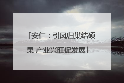 安仁：引凤归巢结硕果 产业兴旺促发展
