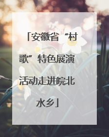 安徽省“村歌”特色展演活动走进皖北水乡