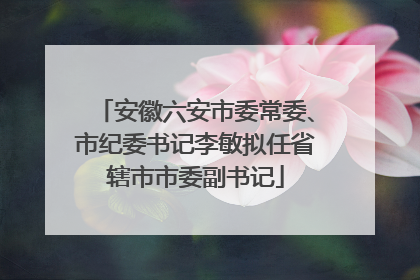 安徽六安市委常委、市纪委书记李敏拟任省辖市市委副书记