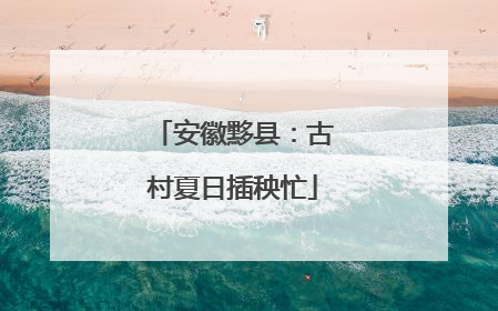 安徽黟县：古村夏日插秧忙