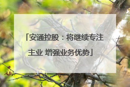 安通控股：将继续专注主业 增强业务优势
