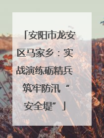 安阳市龙安区马家乡：实战演练砺精兵 筑牢防汛“安全堤”