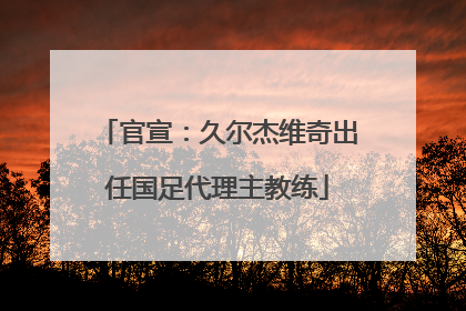 官宣：久尔杰维奇出任国足代理主教练