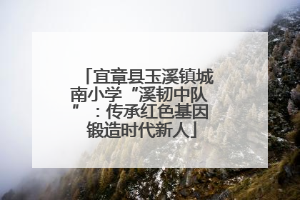 宜章县玉溪镇城南小学“溪韧中队”：传承红色基因 锻造时代新人