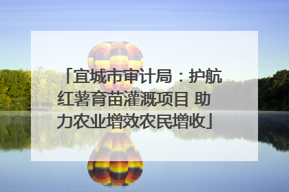 宜城市审计局：护航红薯育苗灌溉项目 助力农业增效农民增收