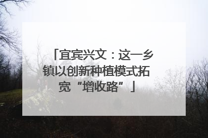 宜宾兴文：这一乡镇以创新种植模式拓宽“增收路”