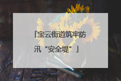宝云街道筑牢防汛“安全堤”