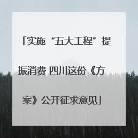 实施“五大工程”提振消费 四川这份《方案》公开征求意见