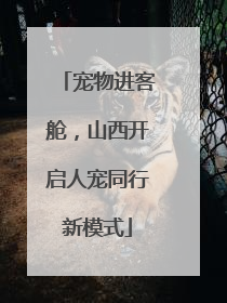 宠物进客舱，山西开启人宠同行新模式