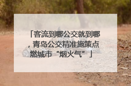 客流到哪公交就到哪，青岛公交精准施策点燃城市“烟火气”