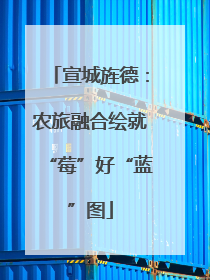 宣城旌德：农旅融合绘就“莓”好“蓝”图