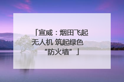 宣威：烟田飞起无人机 筑起绿色“防火墙”