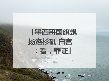 墨西哥国旗飘扬洛杉矶 白宫：看，罪证