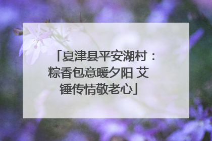 夏津县平安湖村：粽香包意暖夕阳 艾锤传情敬老心