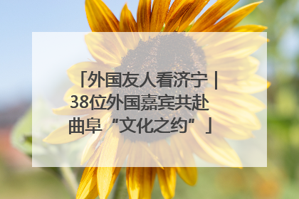 外国友人看济宁｜38位外国嘉宾共赴曲阜“文化之约”