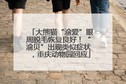 大熊猫“渝爱”眼周脱毛恢复良好！“渝贝”出现类似症状，重庆动物园回应