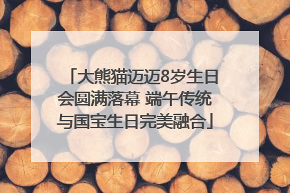 大熊猫迈迈8岁生日会圆满落幕 端午传统与国宝生日完美融合