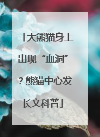 大熊猫身上出现“血洞”？熊猫中心发长文科普