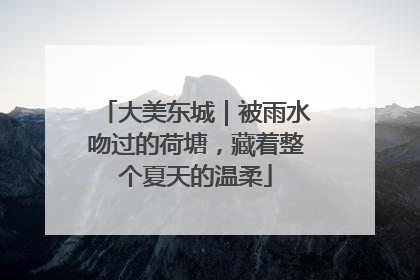 大美东城｜被雨水吻过的荷塘，藏着整个夏天的温柔