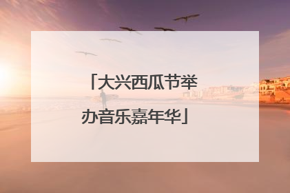 大兴西瓜节举办音乐嘉年华