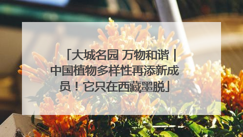 大城名园 万物和谐｜中国植物多样性再添新成员！它只在西藏墨脱