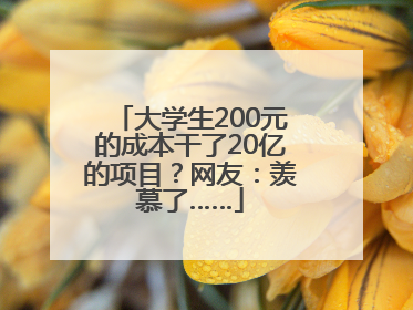 大学生200元的成本干了20亿的项目？网友：羡慕了……