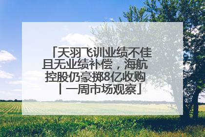 天羽飞训业绩不佳且无业绩补偿，海航控股仍豪掷8亿收购丨一周市场观察