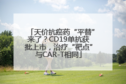 天价抗癌药“平替”来了？CD19单抗获批上市，治疗“靶点”与CAR-T相同