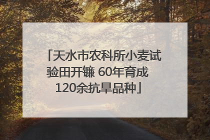 天水市农科所小麦试验田开镰 60年育成120余抗旱品种
