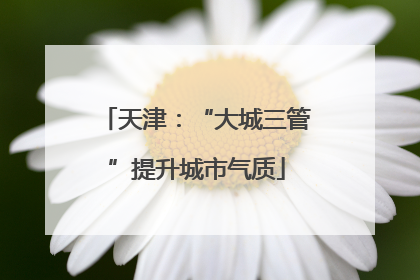 天津：“大城三管”提升城市气质