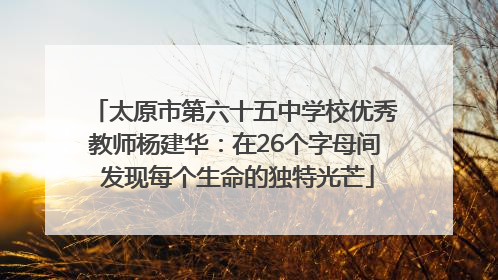 太原市第六十五中学校优秀教师杨建华：在26个字母间 发现每个生命的独特光芒