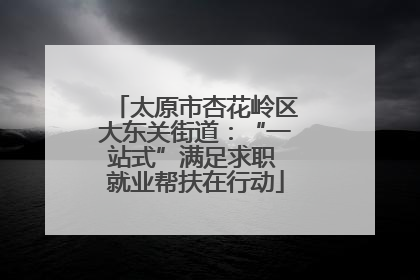 太原市杏花岭区大东关街道：“一站式”满足求职 就业帮扶在行动
