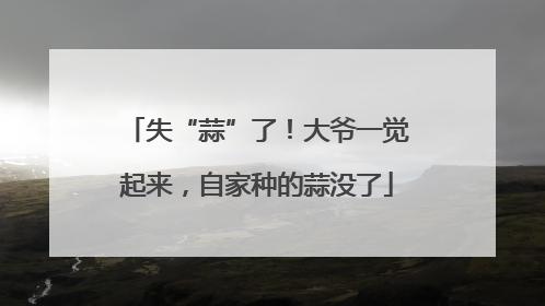 失“蒜”了！大爷一觉起来，自家种的蒜没了
