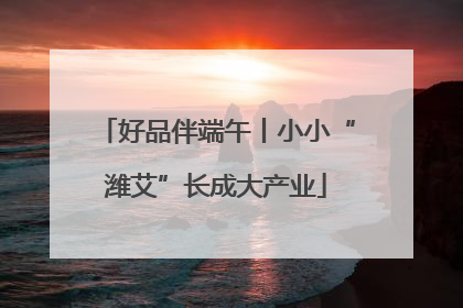 好品伴端午丨小小“潍艾”长成大产业