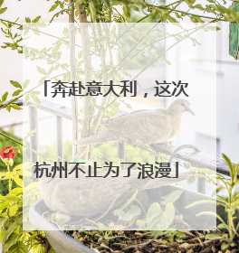 奔赴意大利，这次杭州不止为了浪漫