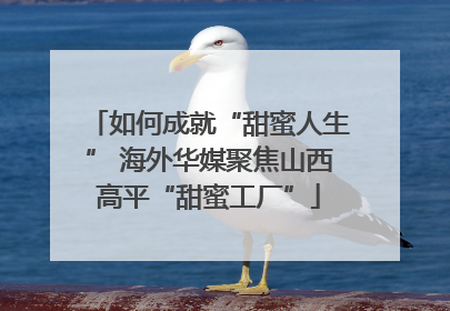 如何成就“甜蜜人生” 海外华媒聚焦山西高平“甜蜜工厂”