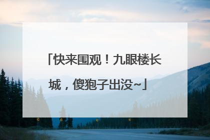 快来围观！九眼楼长城，傻狍子出没~