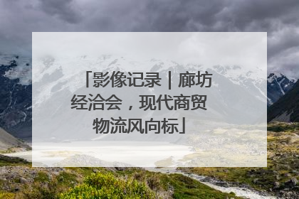 影像记录｜廊坊经洽会，现代商贸物流风向标