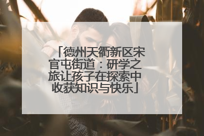 德州天衢新区宋官屯街道：研学之旅让孩子在探索中收获知识与快乐