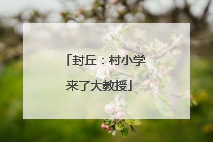 封丘：村小学来了大教授