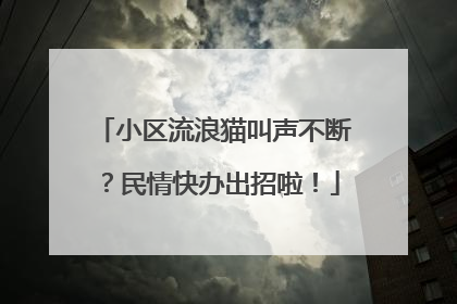 小区流浪猫叫声不断？民情快办出招啦！