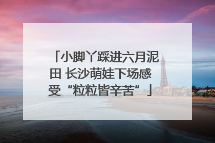 小脚丫踩进六月泥田 长沙萌娃下场感受“粒粒皆辛苦”