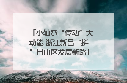 小轴承“传动”大动能 浙江新昌“拼”出山区发展新路