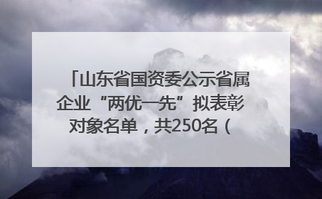 山东省国资委公示省属企业“两优一先”拟表彰对象名单，共250名（个）党员和党组织